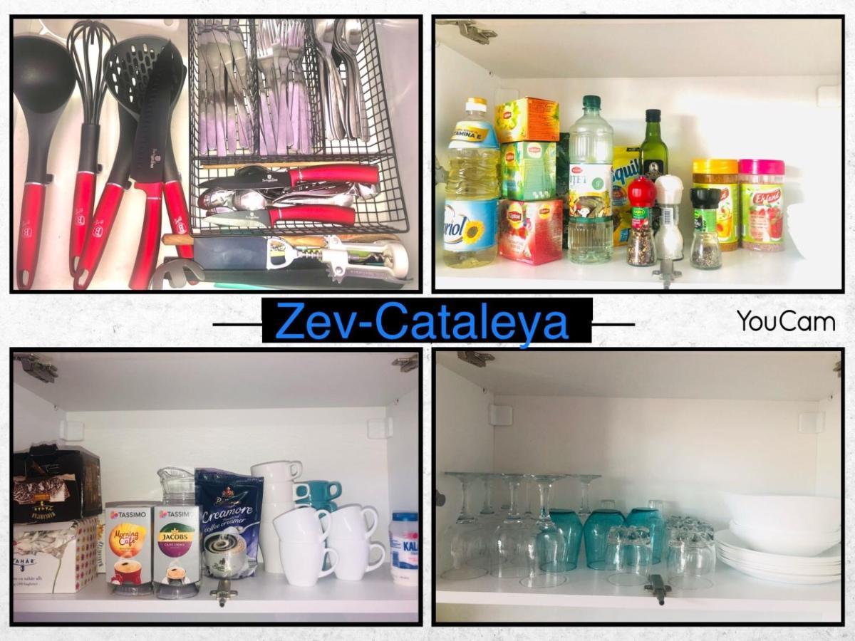 ナボダリZev- Cataleya Mamaia Nordアパートメント エクステリア 写真